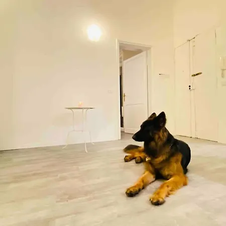 Apartment Mamisa Rome, Con Parcheggio Privato E Gratuito Rome